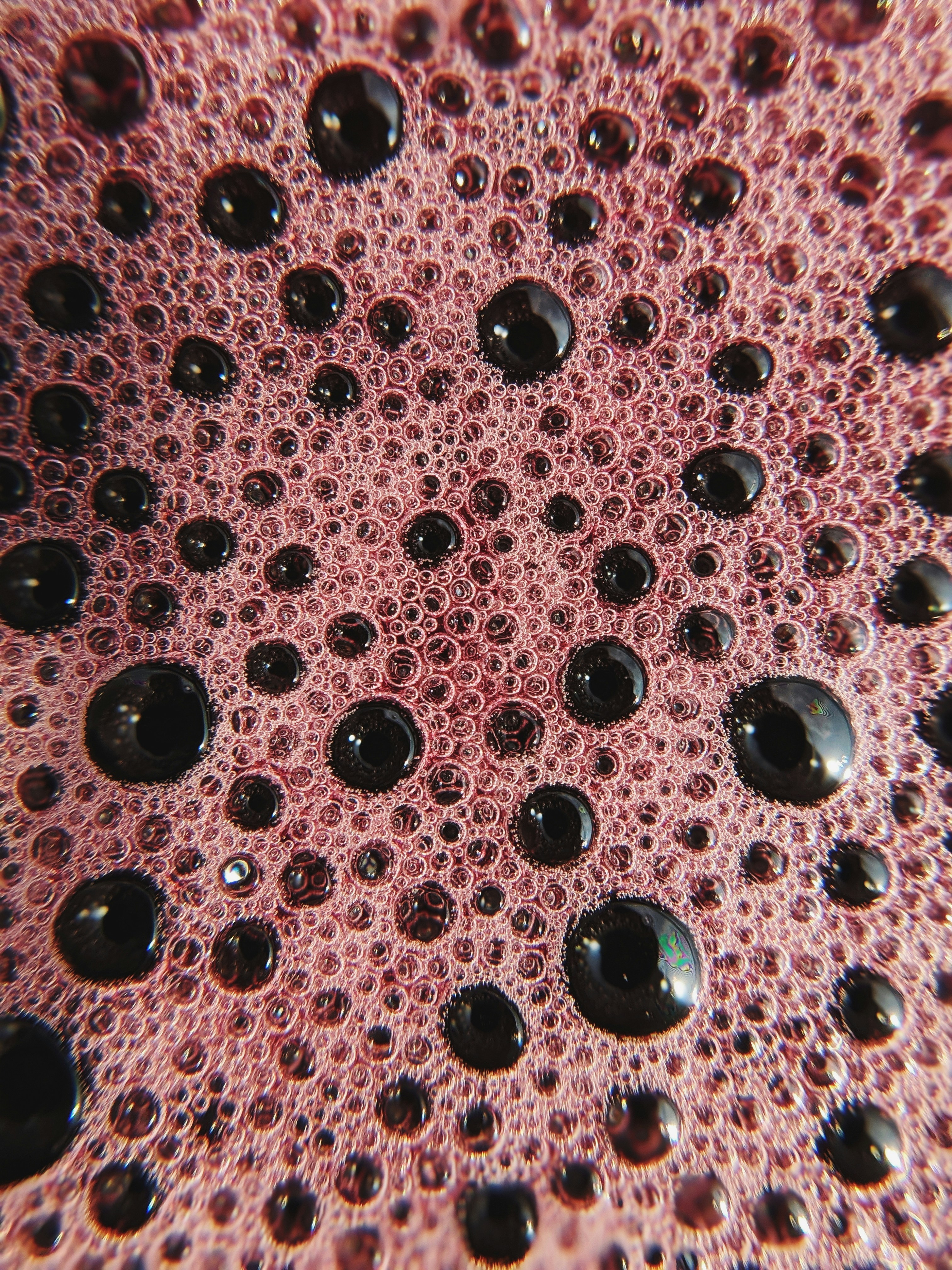 Fermenting juice image from Unsplash